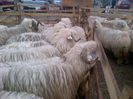 IMG-20131110-00889