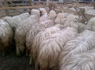 IMG-20131110-00891