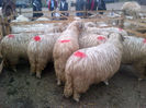 IMG-20131110-00893