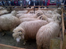 IMG-20131110-00896