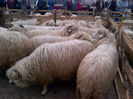 IMG-20131110-00897