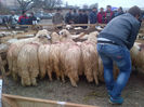 IMG-20131110-00898