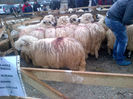 IMG-20131110-00899