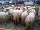 IMG-20131110-00900