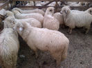 IMG-20131110-00901