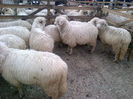 IMG-20131110-00902