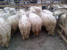 IMG-20131110-00903