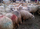 IMG-20131110-00906