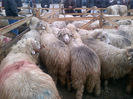 IMG-20131110-00907