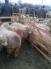 IMG-20131110-00908