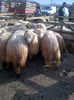 IMG-20131110-00917