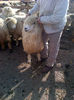 IMG-20131110-00919