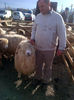 IMG-20131110-00920