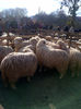 IMG-20131110-00921