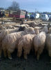 IMG-20131110-00922