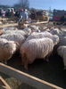 IMG-20131110-00923