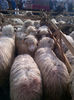 IMG-20131110-00924