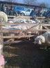 IMG-20131110-00925