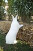 SAM_1053