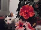 DSCF1673
