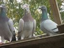 DSCN1548