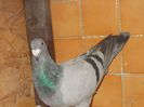 DSCN1566