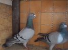 DSCN1571