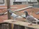 DSCN1579