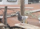DSCN1582