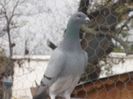 DSCN1595