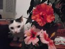 DSCF1674