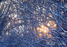 Peisaje-iarna-zapada-Herastrau-FotoAV13