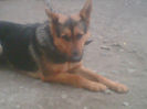 Imag001