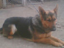 Imag002