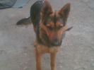 Imag005