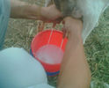 Imag002a