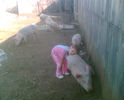 Imag006