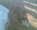 Imag009