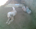 Imag011