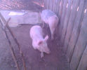 Imag012