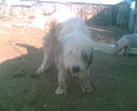 Imag013