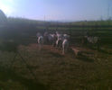 Imag015