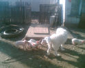 Imag015