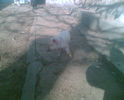 Imag020