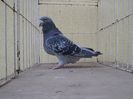 SAM_0655