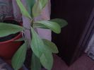 2013-11-23 13.51.01