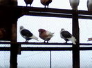 IMG_20131122_140457