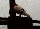 IMG_20131122_140441