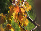 DSCN1674
