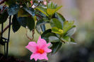 DSCN1679